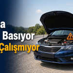 Bitki Yaprakları Neden Sararır? Kurtarmak İçin Ne Yapılmalı?